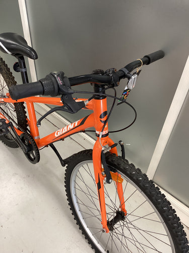 Giant Veer Bike - 24